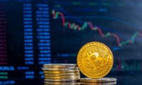 向技术驱动转型 湖北前11个月进出口同比增长10